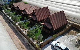 Riviera Bungalow Evleri Demre 2